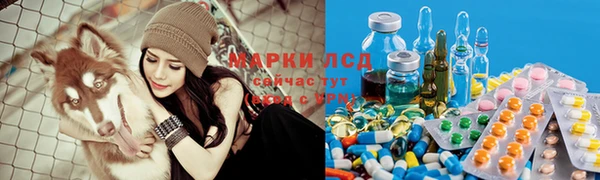 экстази Арсеньев