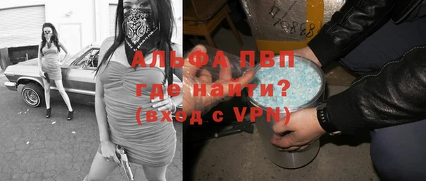 ГАЛЛЮЦИНОГЕННЫЕ ГРИБЫ Аркадак