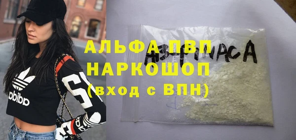 ГАЛЛЮЦИНОГЕННЫЕ ГРИБЫ Аркадак