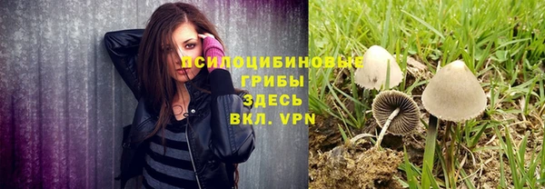 экстази Арсеньев