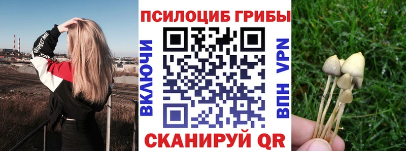 Псилоцибиновые грибы прущие грибы  Новоузенск 