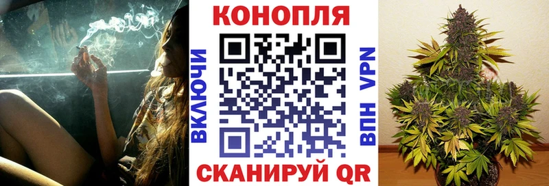 Бошки марихуана планчик Новоузенск